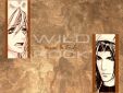 (c) ED Mikage - Wild Rock